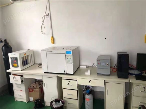 上海化工气相色谱仪